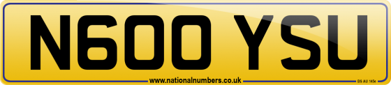 N600 YSU