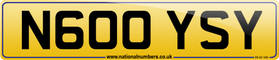 N600 YSY