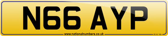 N66 AYP