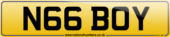 N66 BOY