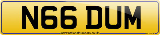 N66 DUM