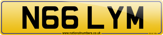 N66 LYM