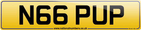 N66 PUP