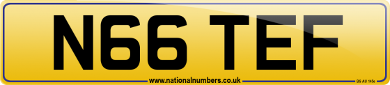 N66 TEF
