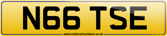N66 TSE