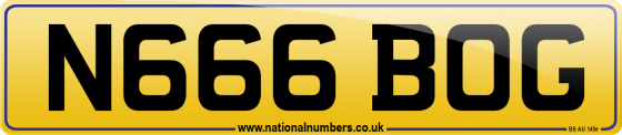 N666 BOG