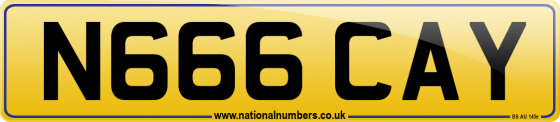 N666 CAY