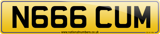 N666 CUM