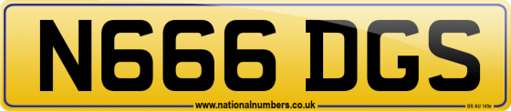 N666 DGS