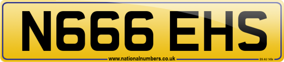 N666 EHS