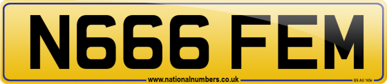 N666 FEM