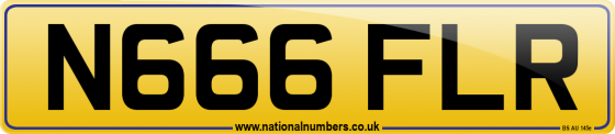 N666 FLR