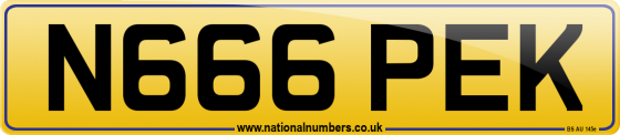 N666 PEK