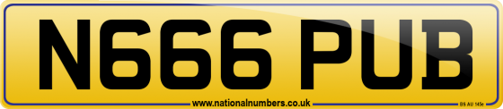 N666 PUB