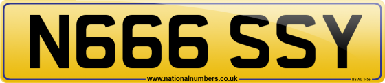 N666 SSY