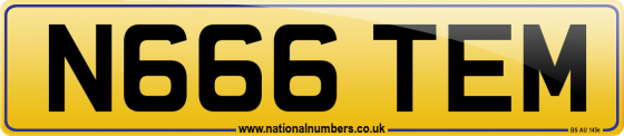 N666 TEM