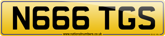 N666 TGS