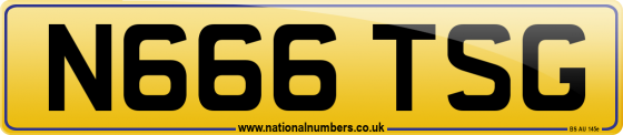 N666 TSG