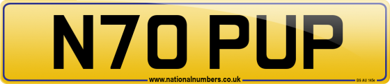 N70 PUP