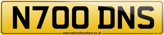 N700 DNS