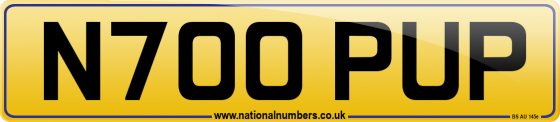 N700 PUP