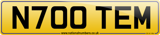 N700 TEM