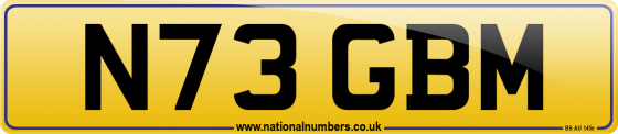 N73 GBM