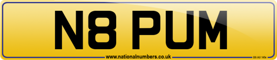 N8 PUM