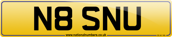 N8 SNU