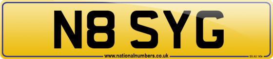 N8 SYG