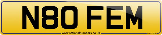N80 FEM