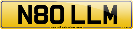 N80 LLM