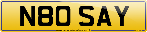N80 SAY