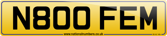 N800 FEM