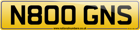 N800 GNS