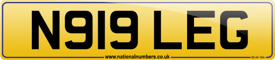 N919 LEG