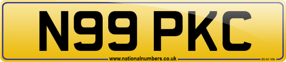N99 PKC