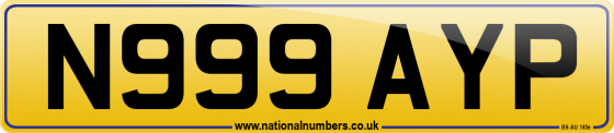 N999 AYP