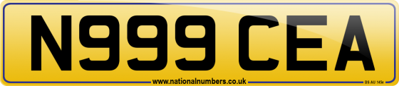 N999 CEA