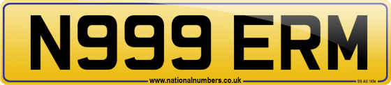 N999 ERM
