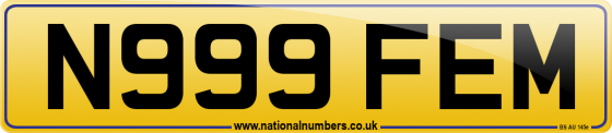 N999 FEM