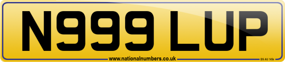 N999 LUP