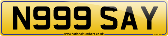 N999 SAY