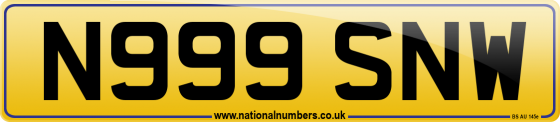 N999 SNW