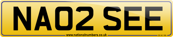 NA02 SEE