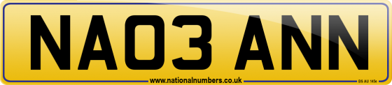 NA03 ANN