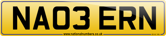 NA03 ERN