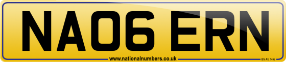 NA06 ERN