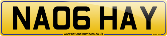 NA06 HAY