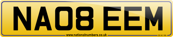 NA08 EEM